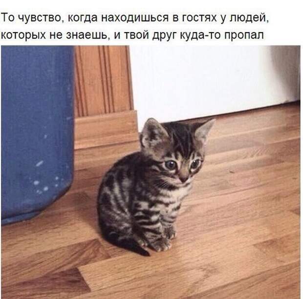 1451500599_41