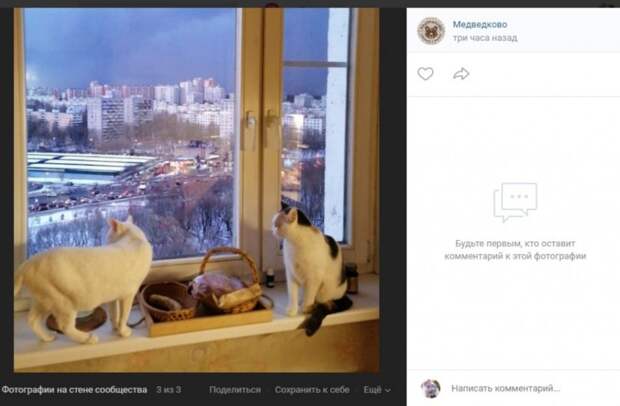 Фото: скриншот записи на странице сообщества «Медведково» Вконтакте