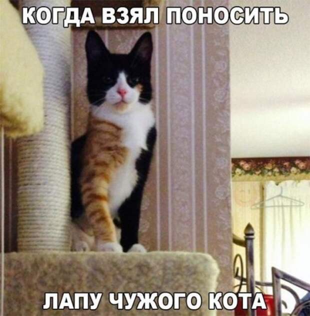 Новые прикольные фотомемы (28 шт)