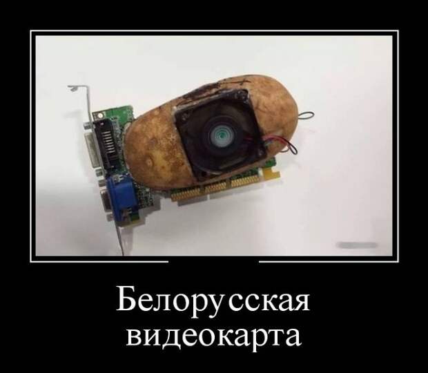 Демотиваторы (30 фото)