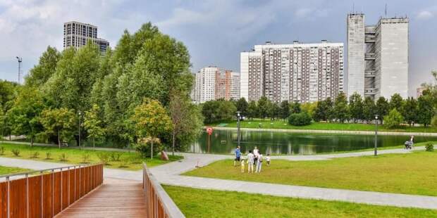 Собянин: Программа благоустройства городских пространств в Москве продолжится. Фото: Ю.Иванко