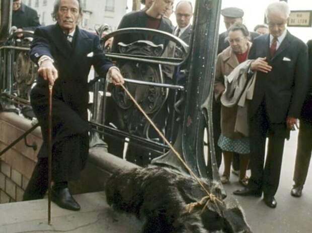 Странности талантливых людей: от боязни яиц Хичкоком до «туалетного юмора» Моцарта