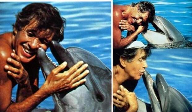 Невероятная история знаменитого итальянского дайвера Энцо: надо уметь говорить с животным миром