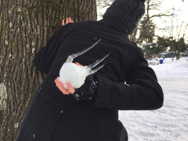Подборка прикольных картинок