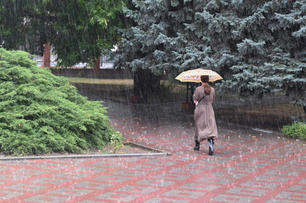 Погода 7 февраля: ожидаются дожди