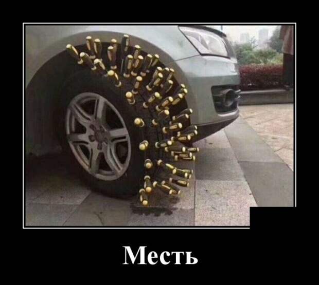 Демотиваторы (30 фото)