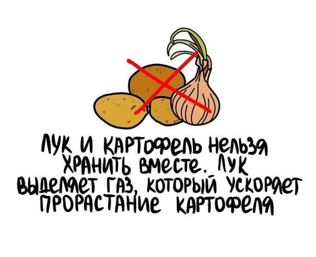 Интересные короткие факты на все случаи жизни