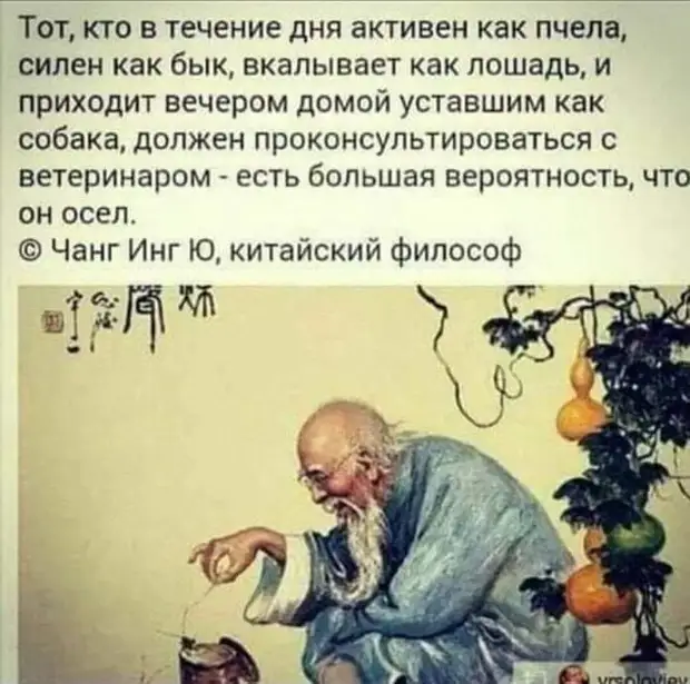 Человек всегда верит в чудо. Особенно тогда, когда в банкомате нажимает кнопку «Запрос баланса» Человек всегда верит в чудо. Особенно тогда, когда в банкомате нажимает кнопку «Запрос баланса» чувствую, вчера, сантиметpов, когда, только, говорит, давай, довольна, одной, мужчина, упаковку, девушка, похож, Дорогой, компаний, защитой, буклетахЯ, полгода, тренажерный, чувствует