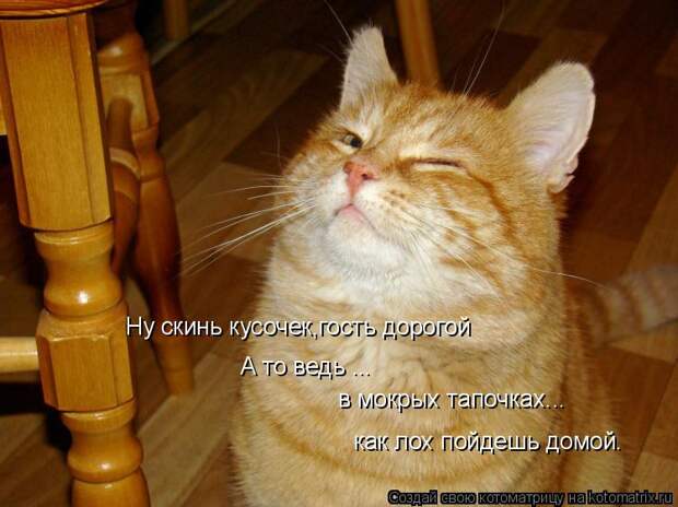 Котоматрица: Ну скинь кусочек,гость дорогой А то ведь ... в мокрых тапочках... как лох пойдешь домой.