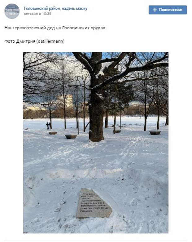 Фото дня: трехсотлетний дед у Головинских прудов