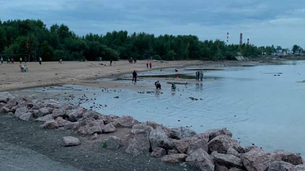 Пригодным для купания в Петербурге оказался лишь один пляж
