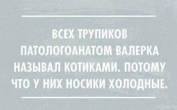 Записки патологоанатома Записки патологоанатома