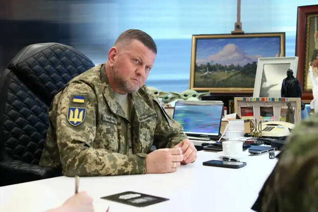 Украинская пресса: Залужный выступил против освобождения от мобилизации инвалидов 2-й группы