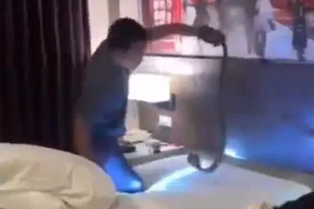 Туристы проснулись от шипящей возле их голов кобры в отеле Таиланда и сняли ее на видео