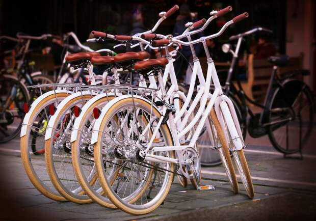 Бесплатно провести велосипед через «Дегунино» можно 9 и 10 июля
