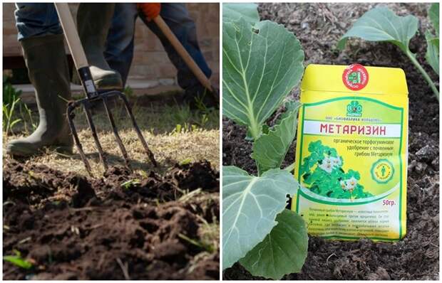 Как обработать почву на огороде под зимний период