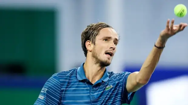 Чесноков: складывается впечатление, что у Медведева вовсе нет нервов