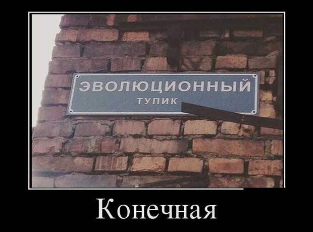 Демотиваторы (30 фото)