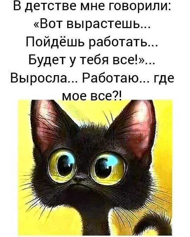 Картинка из интернета