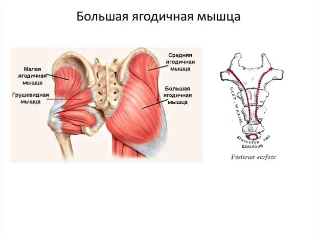 Напряженная поясница и шея? Морщины на лице?-2