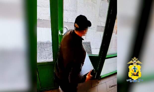 В Плесецком округе задержан мужчина, похитивший шесть ноутбуков и товары из двух магазинов