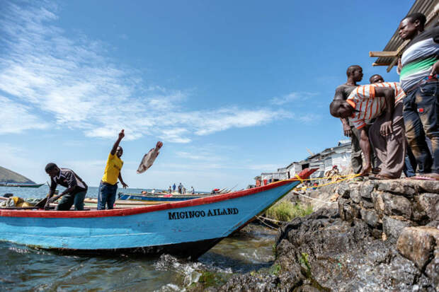 Единственное занятие на Мигинго, приносящее доход - ловля рыбы / Фото: pronedra.ru