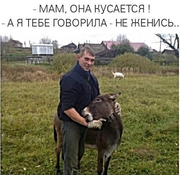Анекдоты, истории и картинки с надписями