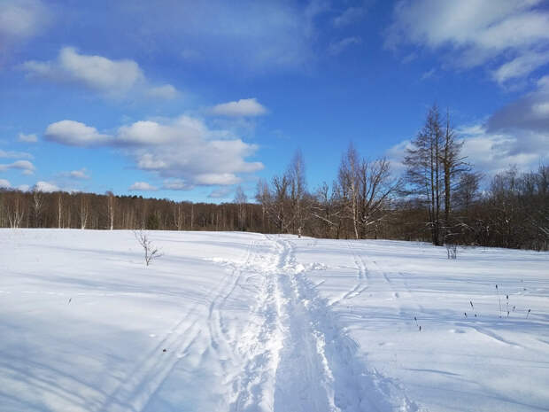Роман Вильфанд рассказал, скоро ли уйдут февральские холода