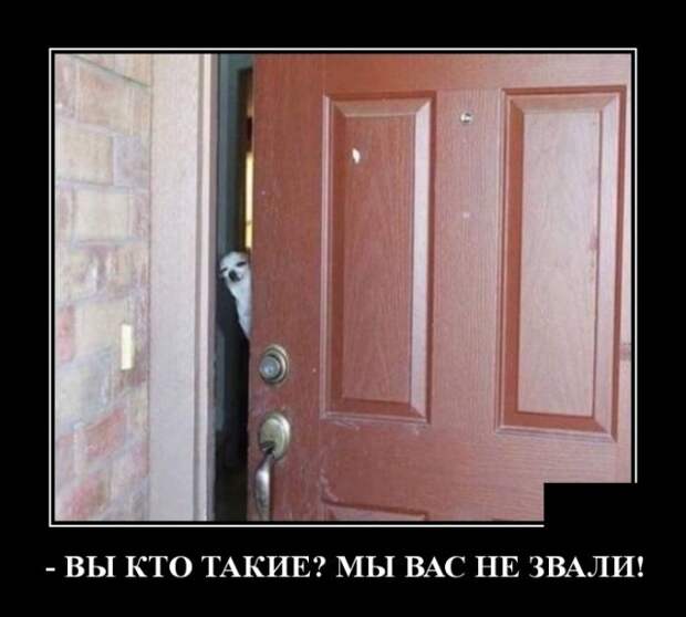 Демотиваторы