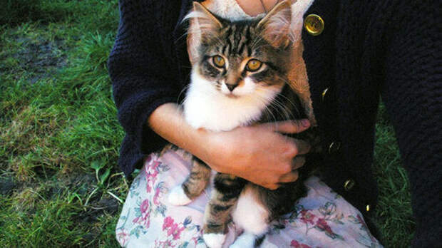 Разная любовь