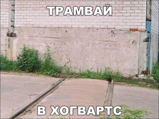 Прикольные картинки картинки из сети, прикол, юмор
