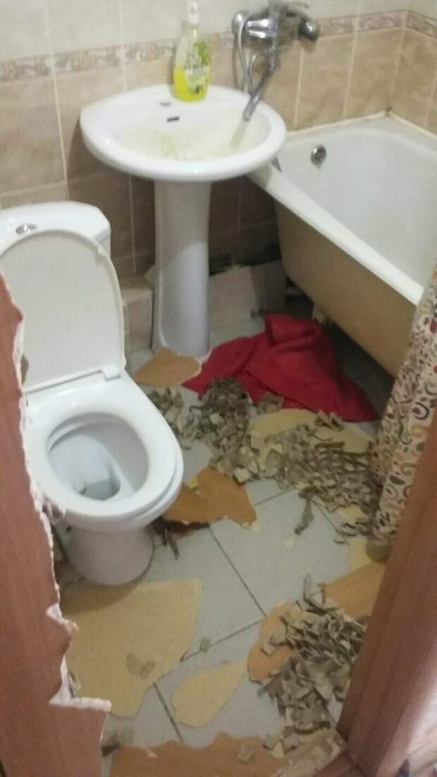 Когда сам себе враг, или что бывает, если сдавать квартиру под праздники Когда сам себе враг, или что бывает, если сдавать квартиру под праздники