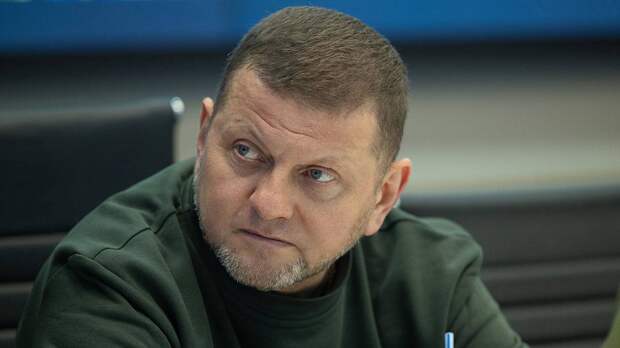 Залужный оконфузился в Лондоне, выступая на английском языке