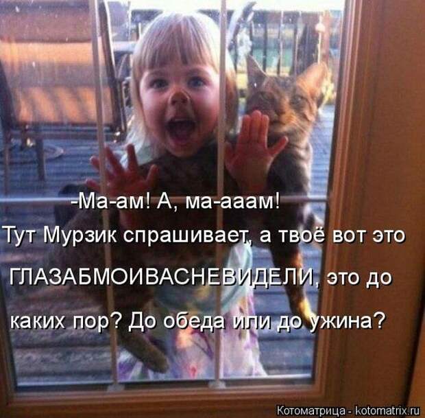 Забавные животные (50 фото)