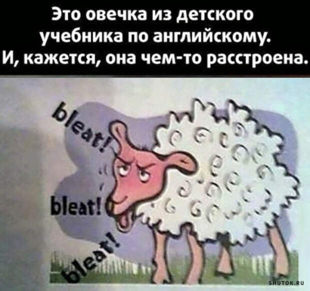 Мемы, картинки, юмор!) Весна шагает по планете!)
