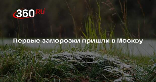 Первые заморозки пришли в Москву