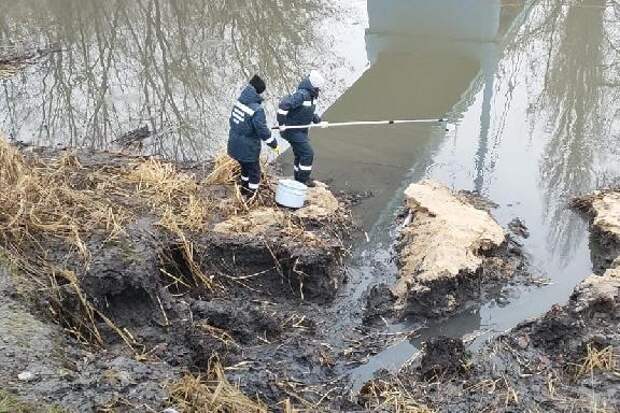 Росприроднадзор оценил вред, нанесённый РКС-Тамбов окружающей среде, в 409 млн рублей