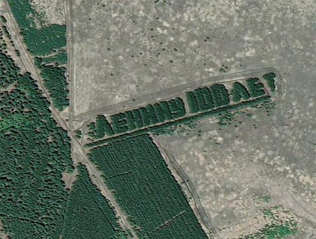 Советские надписи из деревьев, которые видно из космоса (ФОТО)