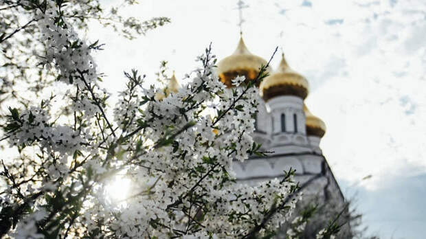 Празднование Яблочного Спаса 19 августа 2024 года: можно ли в этот день есть яблоки и работать