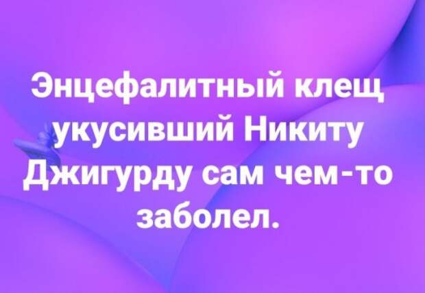 Юмор на любителя Юмор на любителя