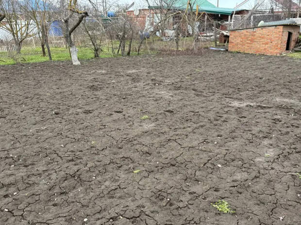 Навоз и помет отдыхают: это удобрение в конце марта творит с землей чудеса — рыхлее не бывает