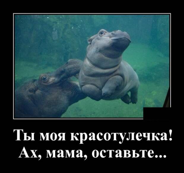 Демотиваторы (30 фото)