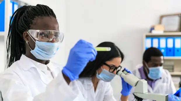 «Вектор»: риск распространения вируса NeoCov среди людей пока является гипотетическим