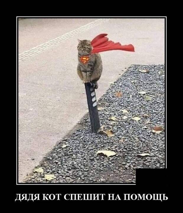 www.vsyako.net