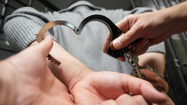 «Сажали помидоры»: в Петергофе накрыли подпольную плантацию конопли