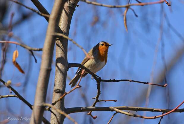 DSC_8515копия1.jpg DSC_8515копия1.jpg