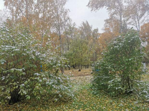В Краснодарском крае прогнозируют похолодание