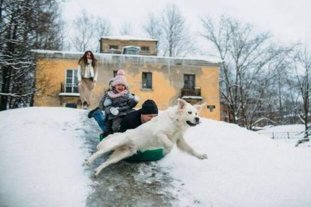 Прикольные картинки Прикольные картинки