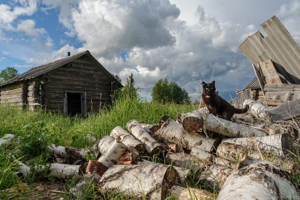 Онежское Верховье путешествия, факты, фото