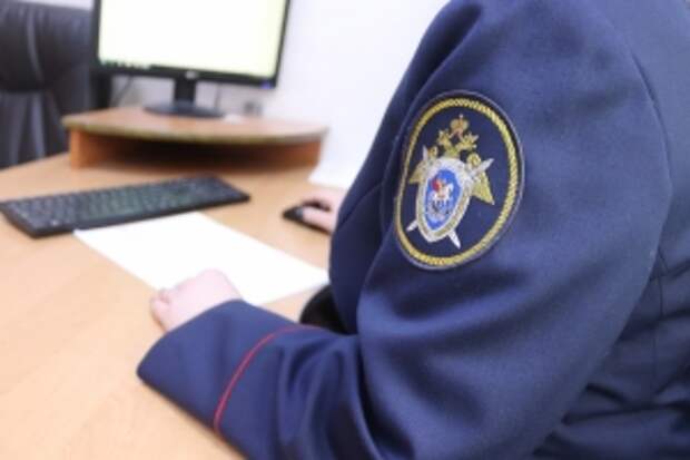 Глава СК России затребовал доклад о ходе расследования уголовного дела по факту нападения на пожилого мужчину в Истринском районе Московской области